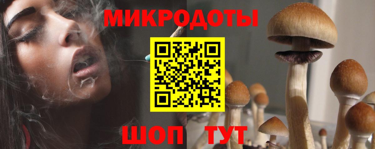 Псилоцибиновые грибы мухоморы  Псилоцибиновые грибы MAGIC MUSHROOMS  Новокубанск  где купить наркоту  Вход с VPN 